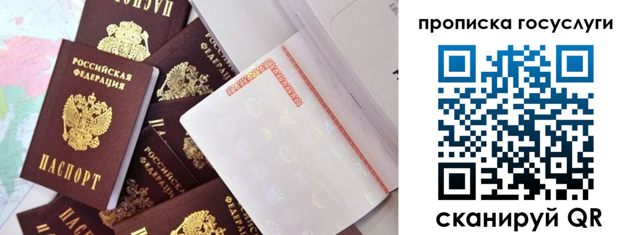 прописка поиск в Димитровграде