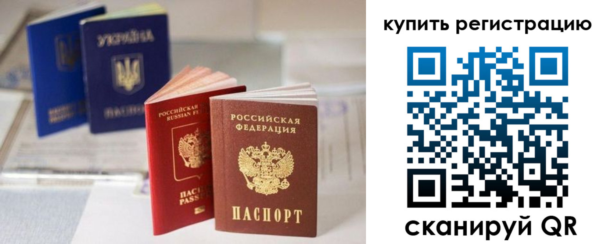 временная прописка в Димитровграде